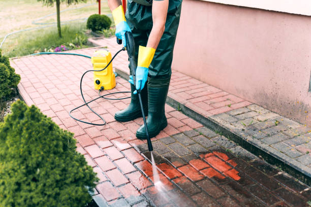 Best Roof Pressure Washing  in Burkesville, KY