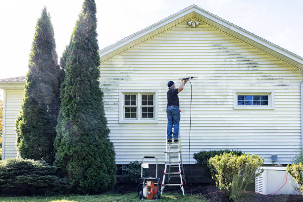 Best Roof Pressure Washing  in Burkesville, KY